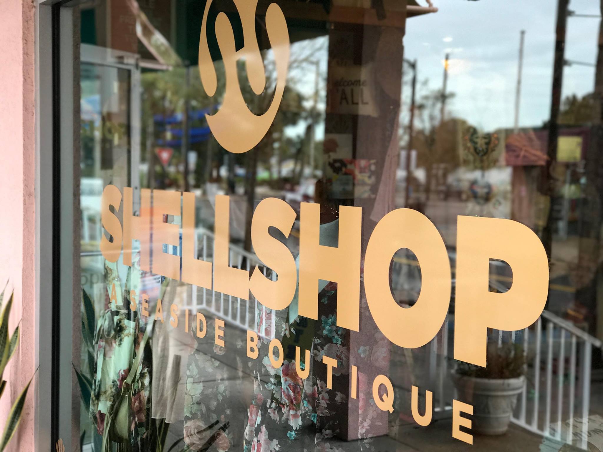 SHELLSHOP | Tarpon Springs FL