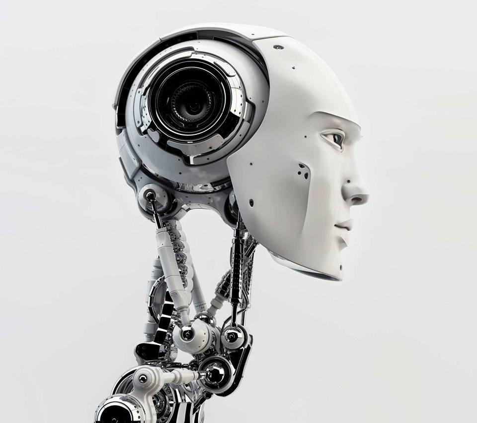 BOT ADAM