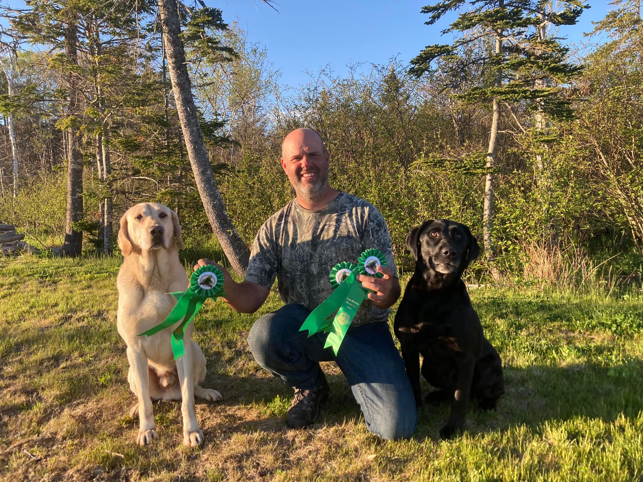 1 ruban pour Freddie 3 rubans... - Chenil Richelieu Retriever
