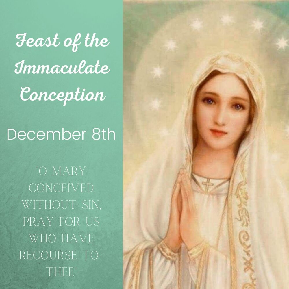 Today we celebrate the Solemnity of... - Holy Cross School | Facebook