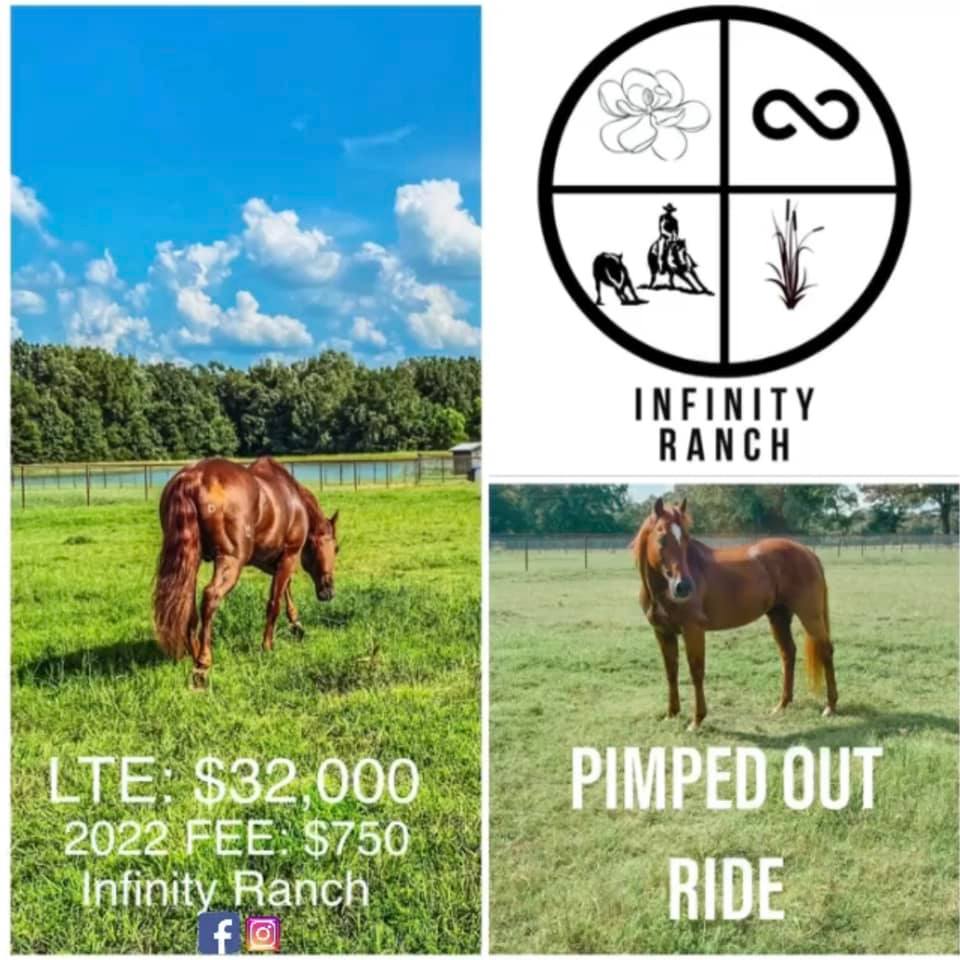 Infinity Ranch, LLC. - Pimped Out Ride LTE: $32,000 🔸Own son of the ...
