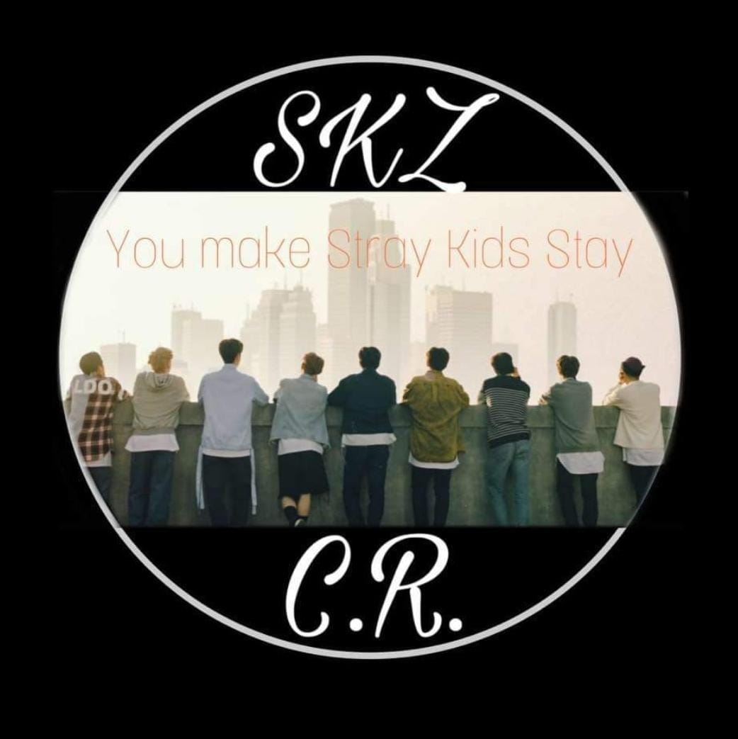 You make Stray Kids... - You make Stray Kids Stay Costa Rica