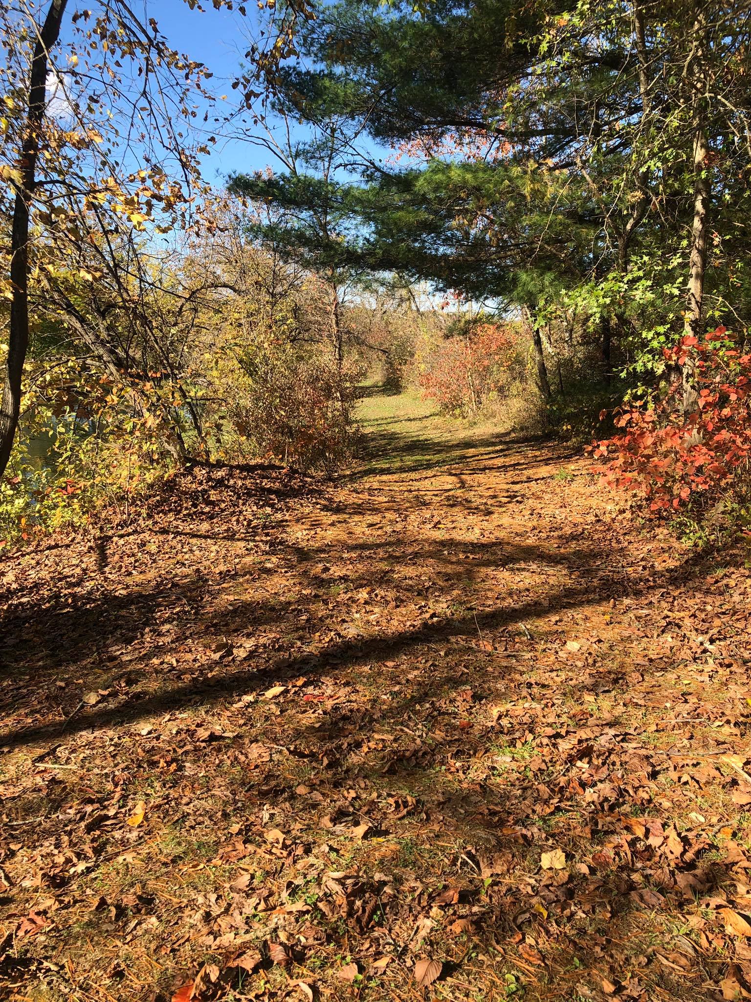 Coal Ridge Park and Trails