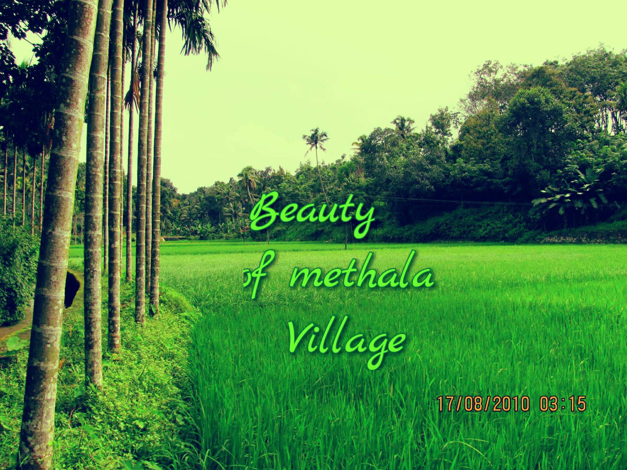 Beauty of Methala