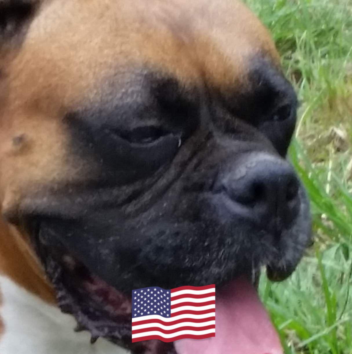 Current mood after a hard day working around the property. | Ruby Marie