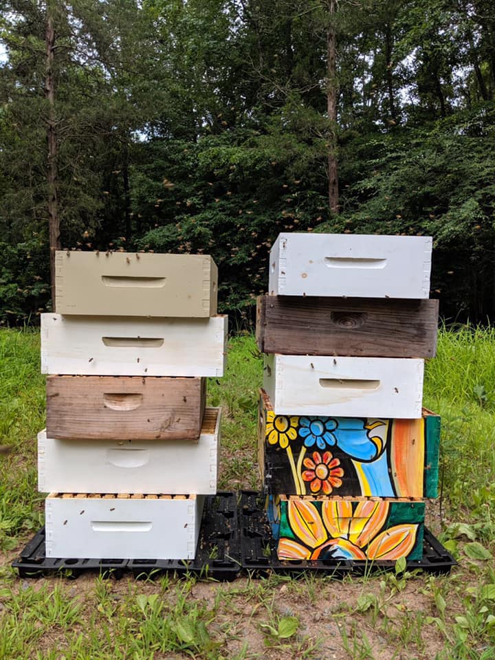 Noblebee Apiary - We started extracting the honey today.... | Facebook