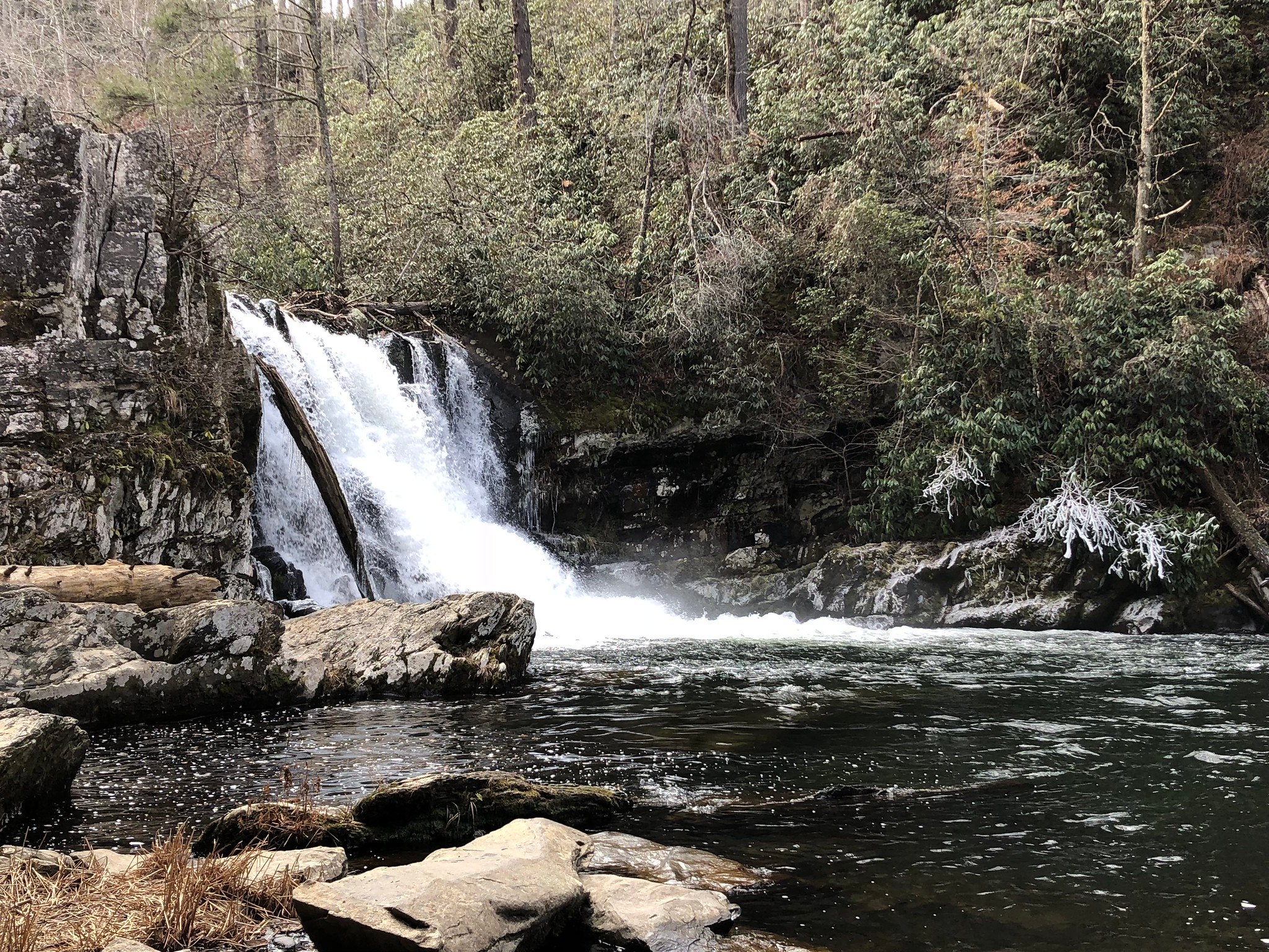 Great - This May, the Trails Forever program, funded by Friends of the ...