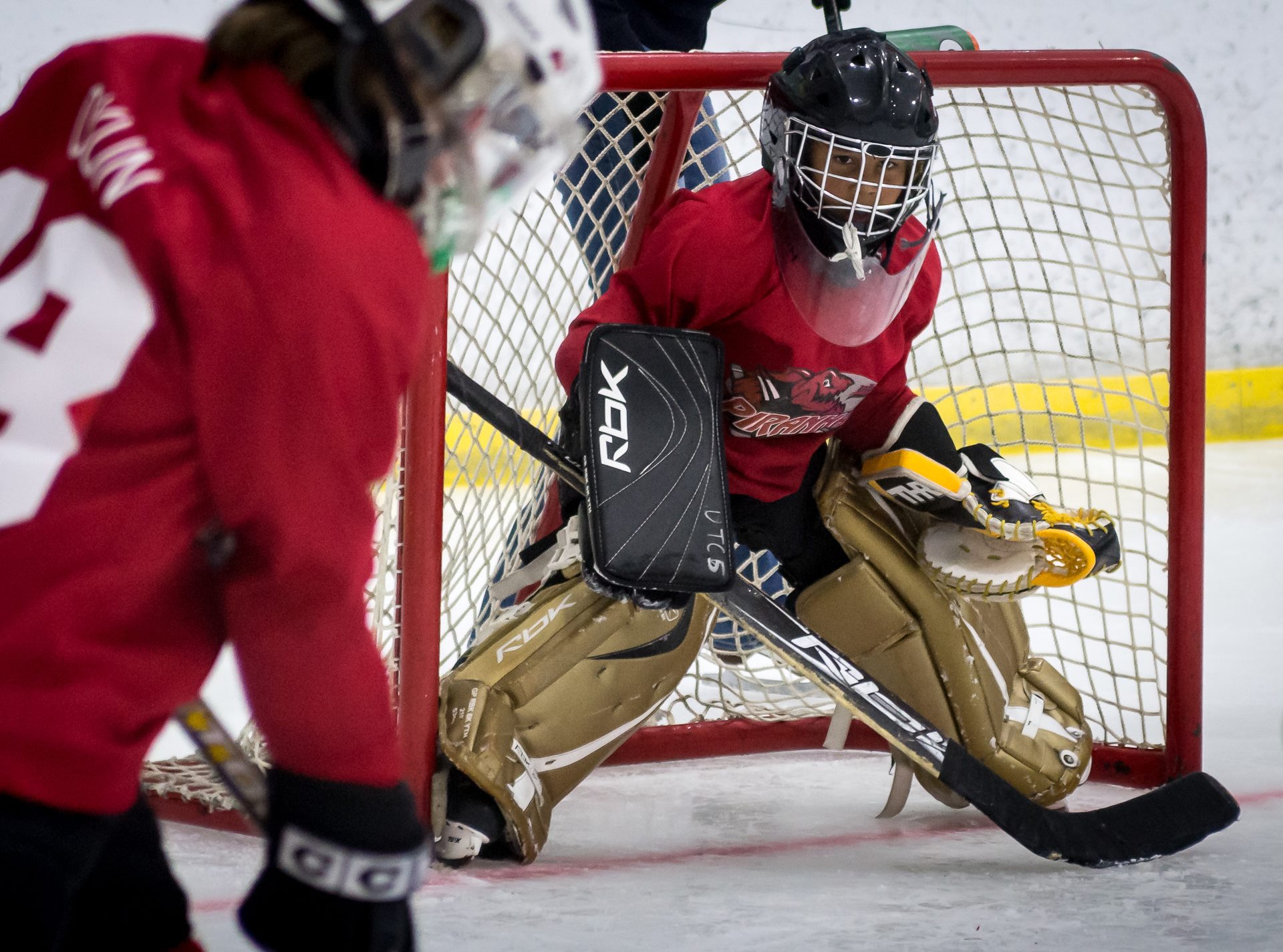 UTC ICE | San Diego CA