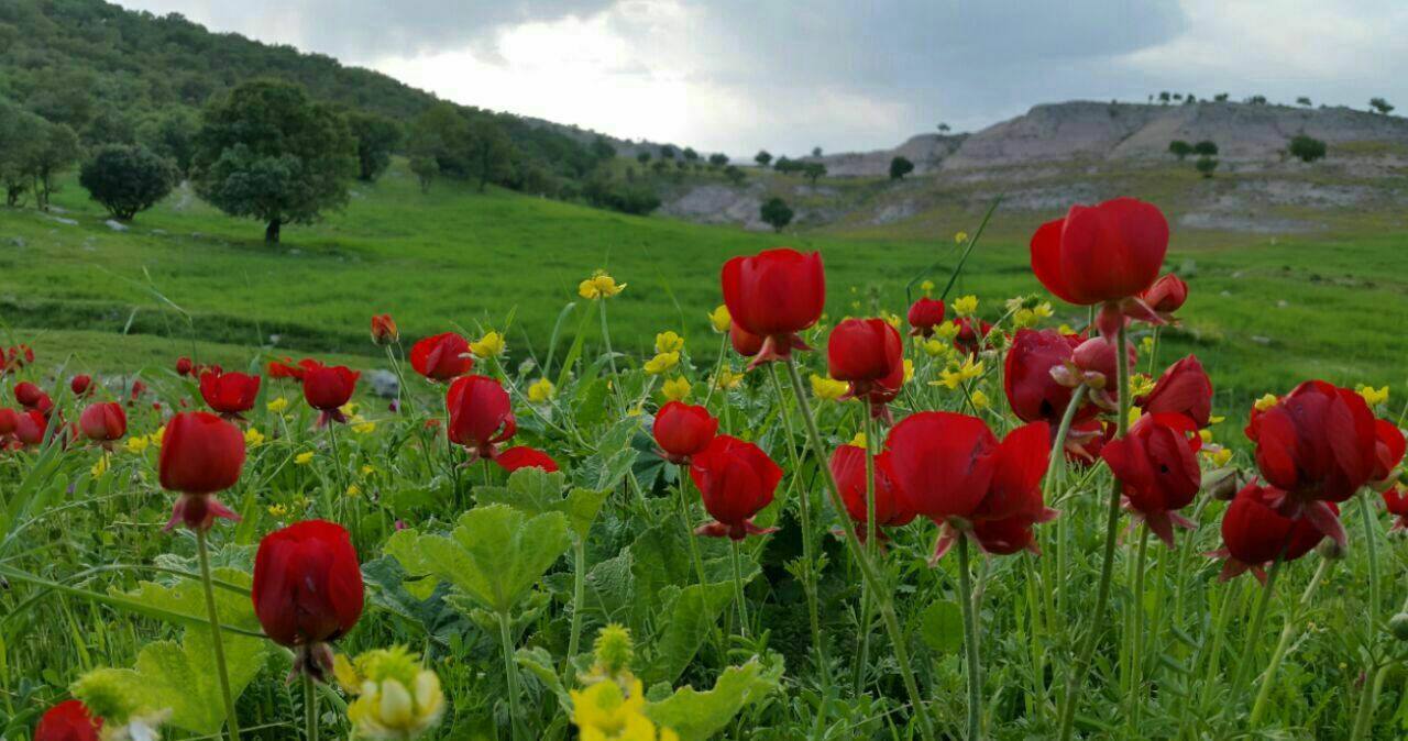 عه شره تی وه له د به گی