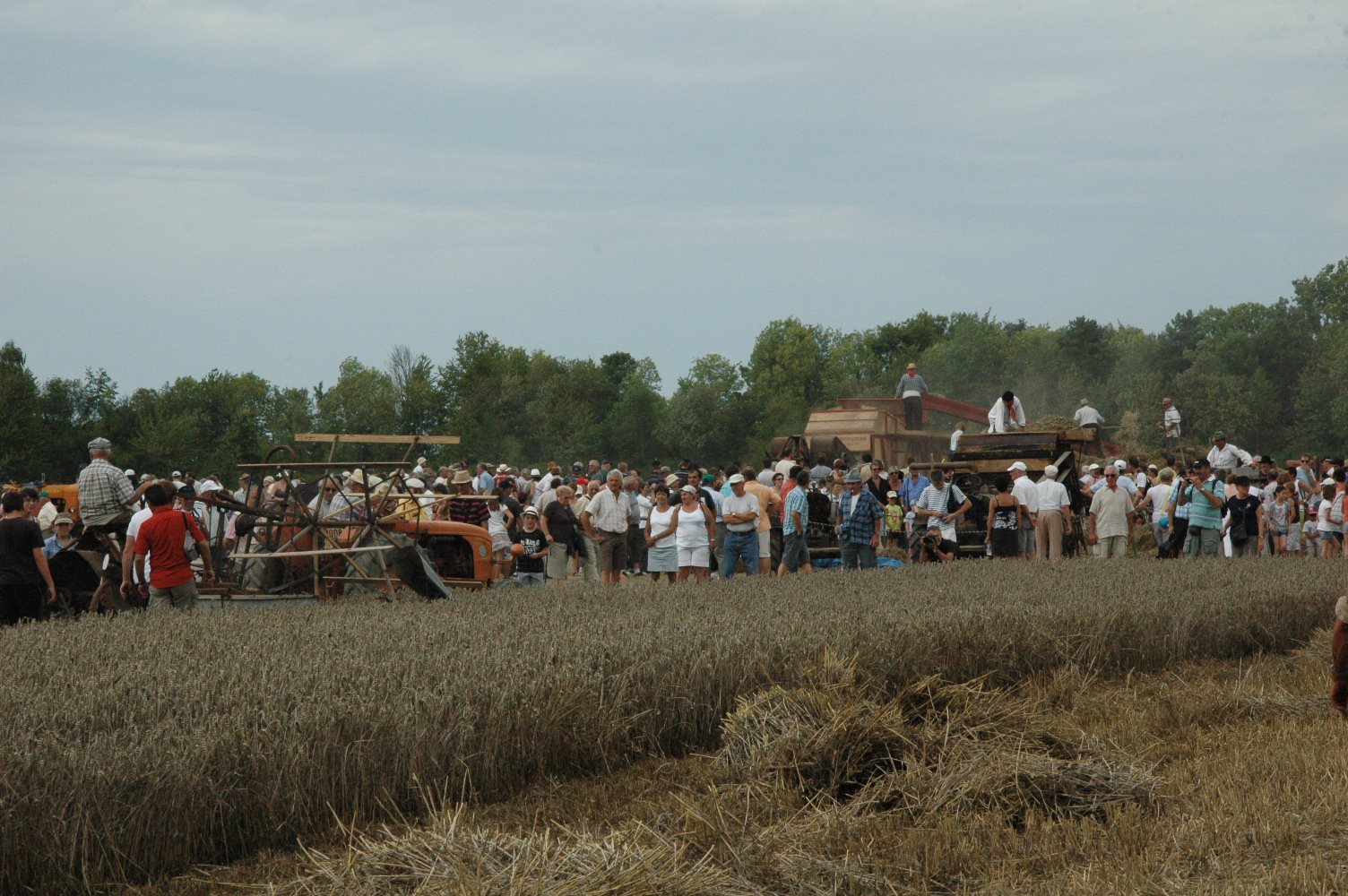 Fete Des Moissons Saint Remy Sur Bussy