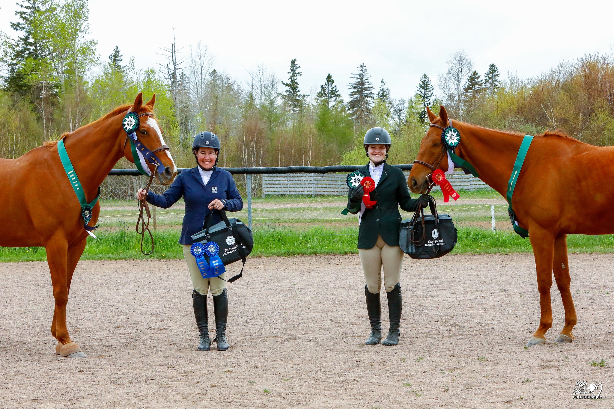 Windy River Stables