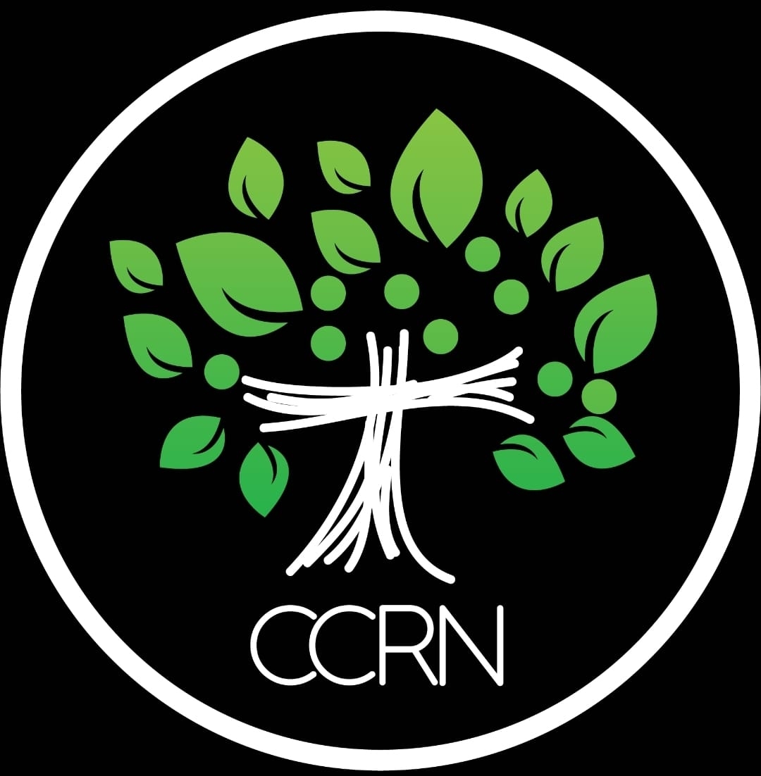 We’re so excited to announce the launch of our CCRN English Service ...