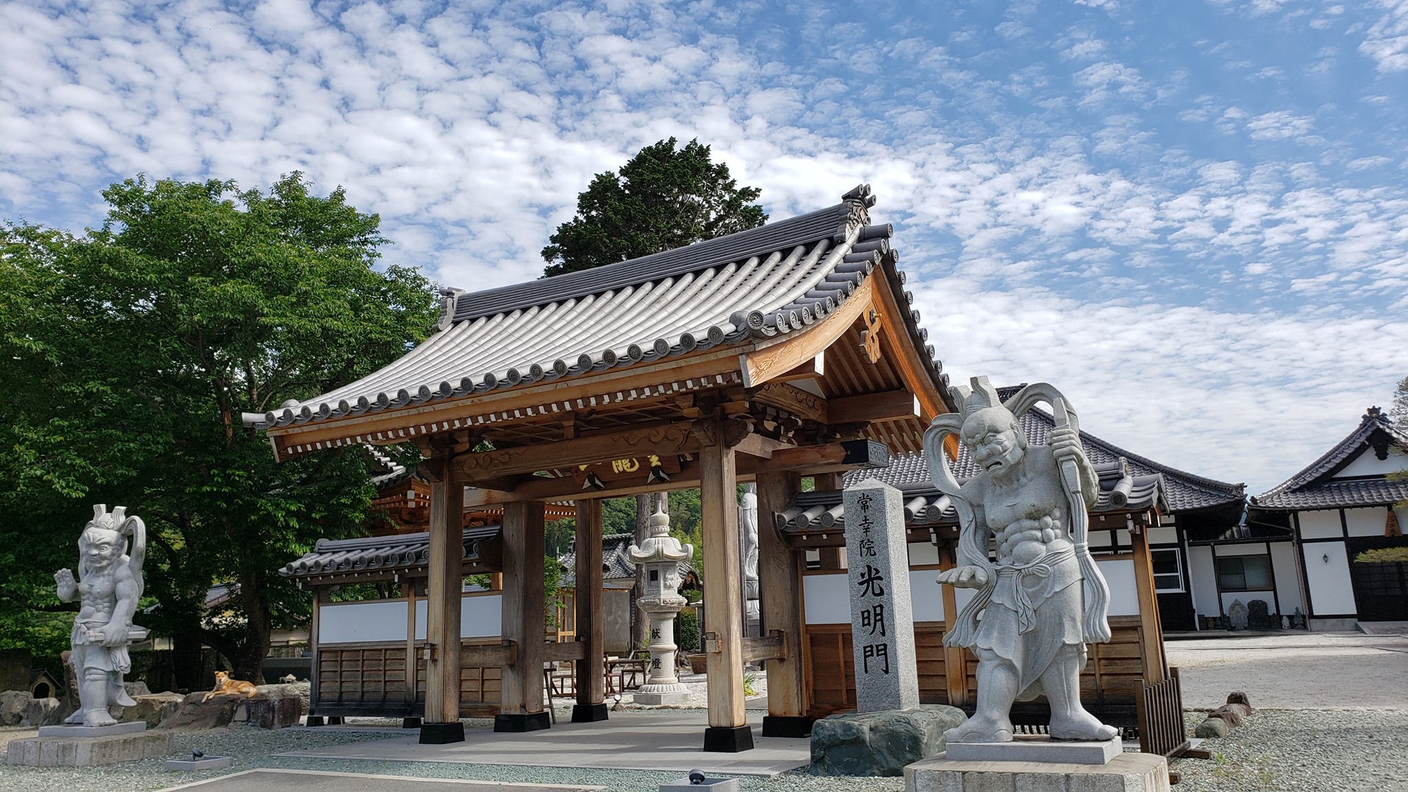 醍醐山と下部温泉 - ウツボグサ。武士が弓矢を入れて背中に背負った靫（うつぼ）からその名があります。 枯れたように見えることから夏枯草とも ...