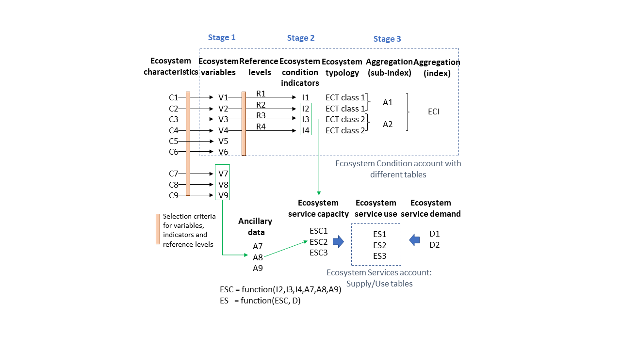 One Ecosystem - New conceptual framework for an inclusive,... | Facebook