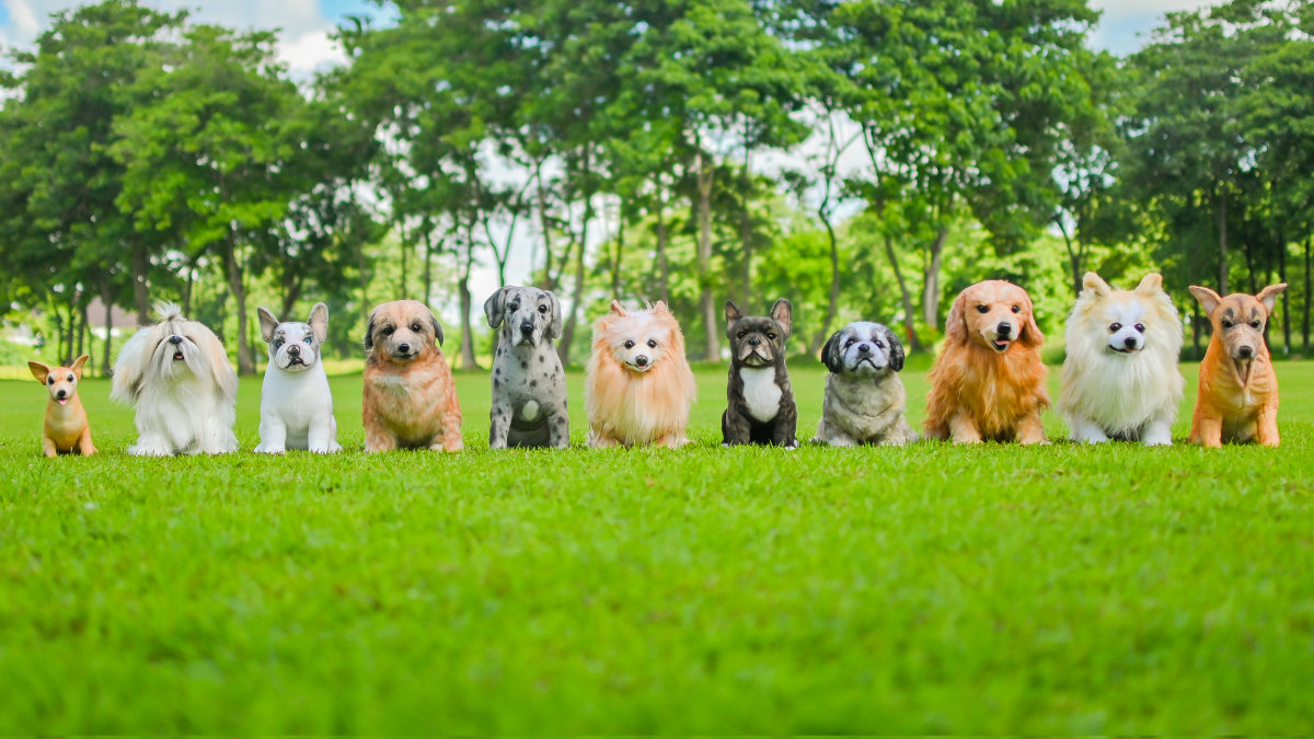 Custom Stuffed Animals
