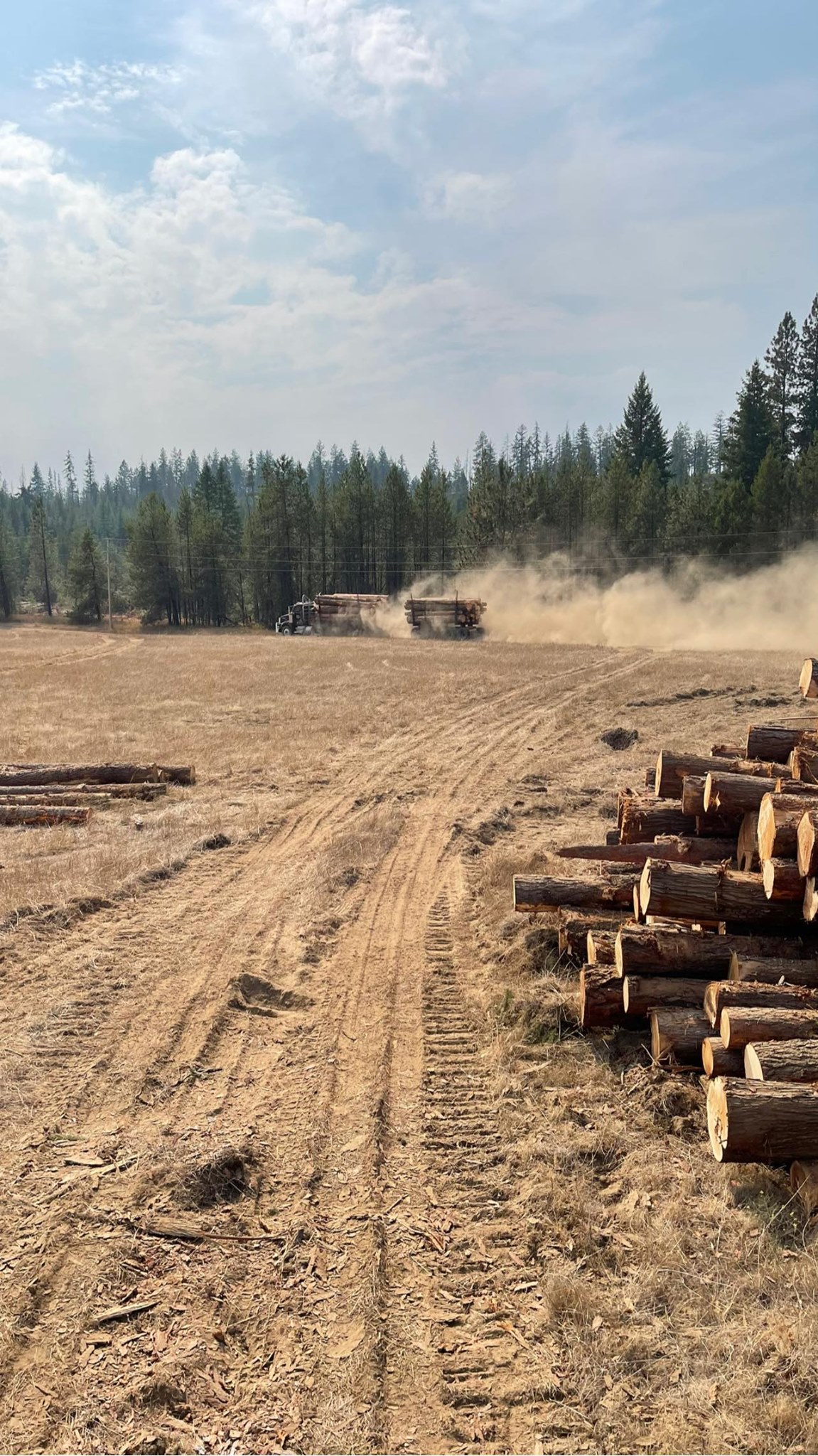 Krogh Logging & Excavation | Newport WA
