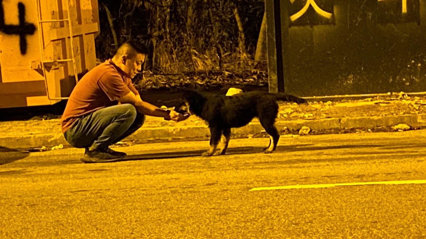Timmy生活頻道 - 今晚係《廚師發辦》首映禮遇到《日落下的彩虹》徐偉斌徐悦晨(腎仔)父子🤣🤣🤣今晚結局篇了，星期三... | Facebook