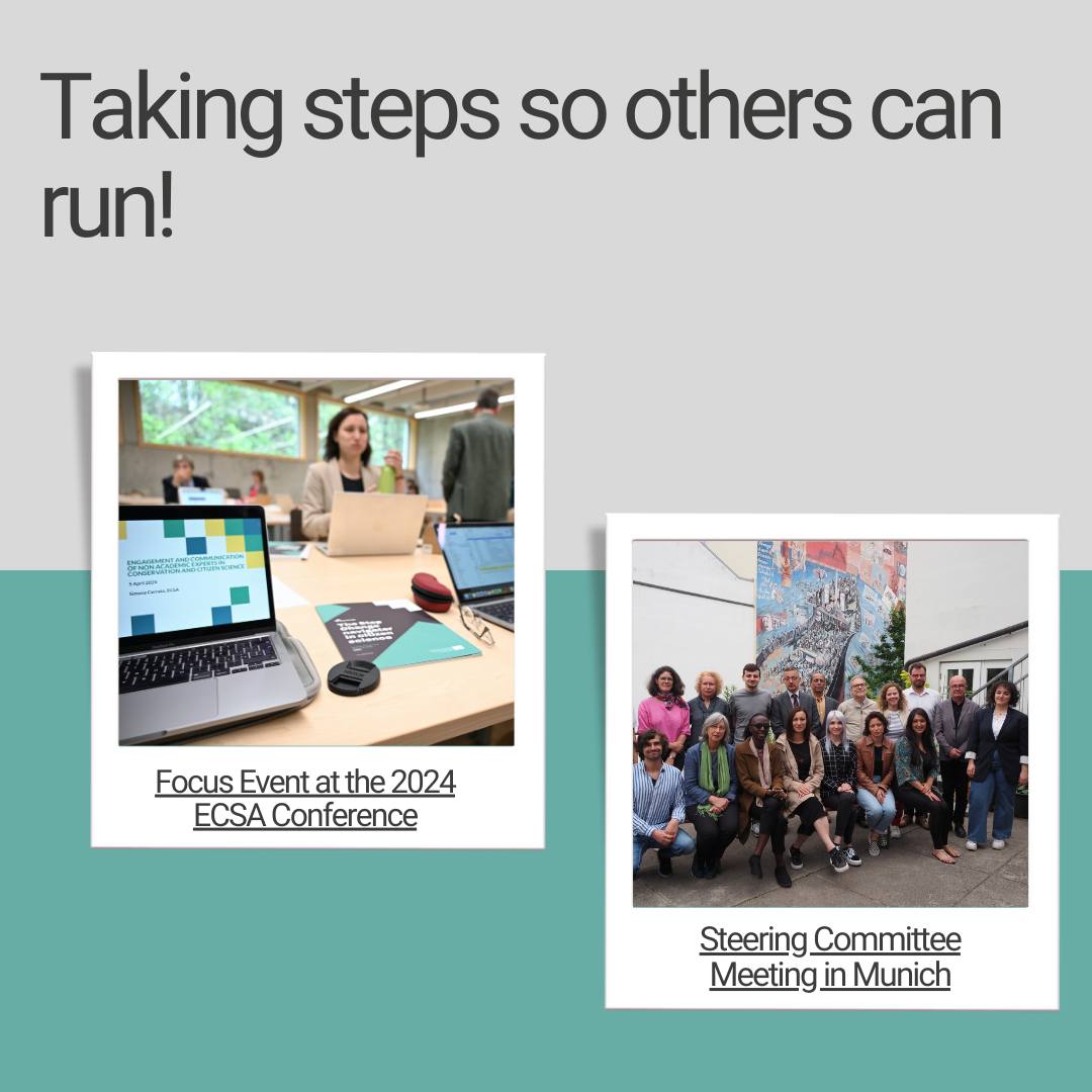 StepChange Project