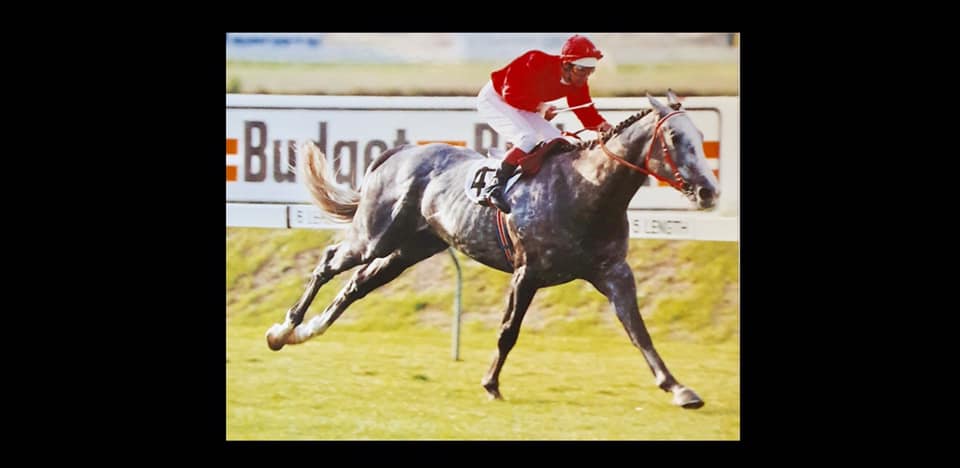 Perth Racing - Perth Racing added a new photo — at Ascot...