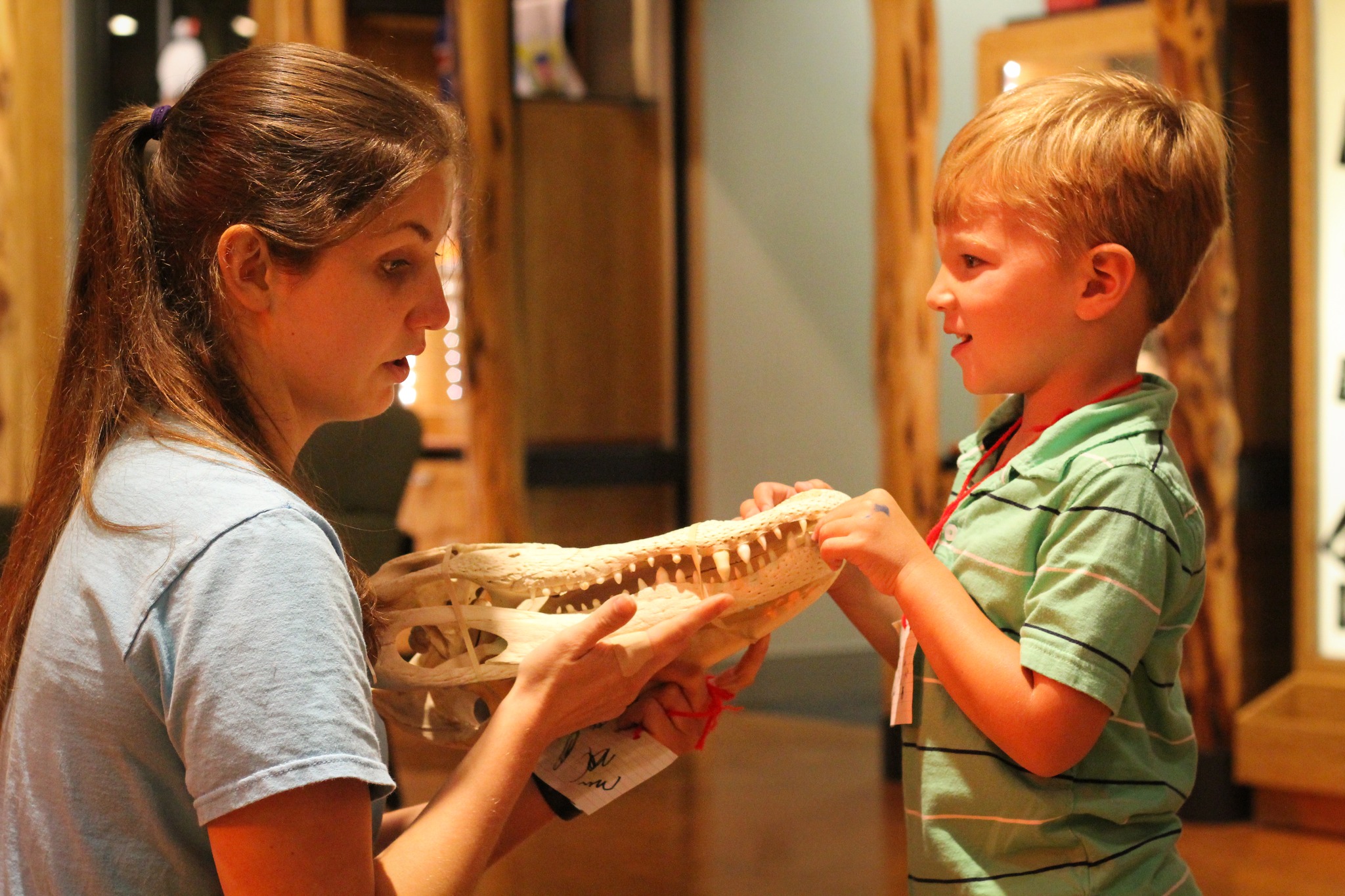 💡 Did you know Discovery Place... - Discovery Place Science