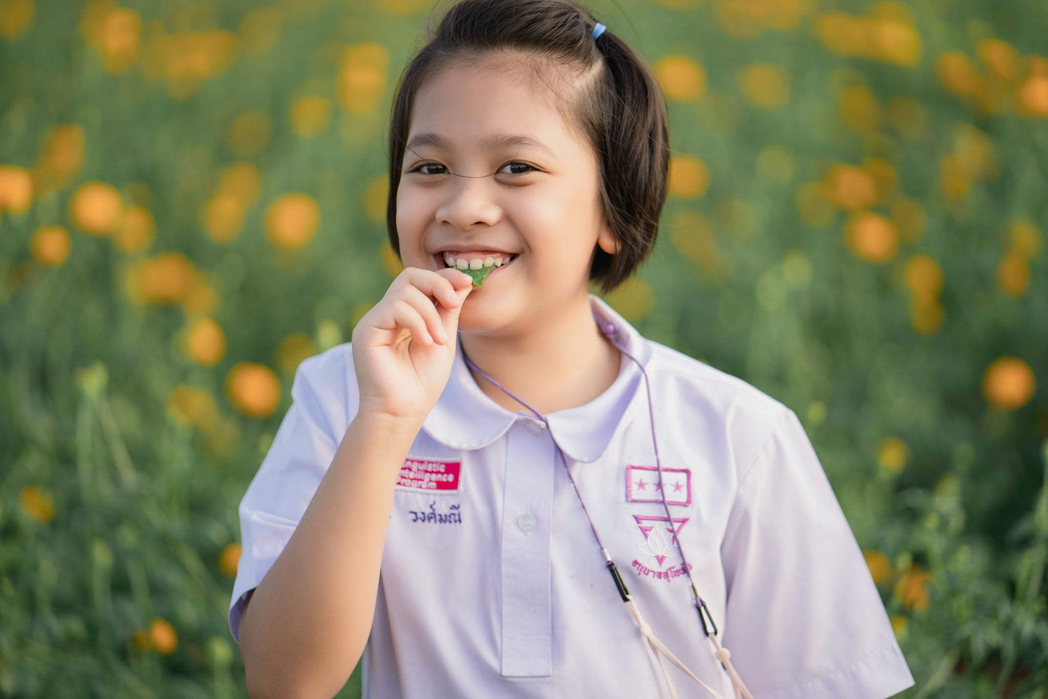 Pinmanee - ปิ่ น ม ณี