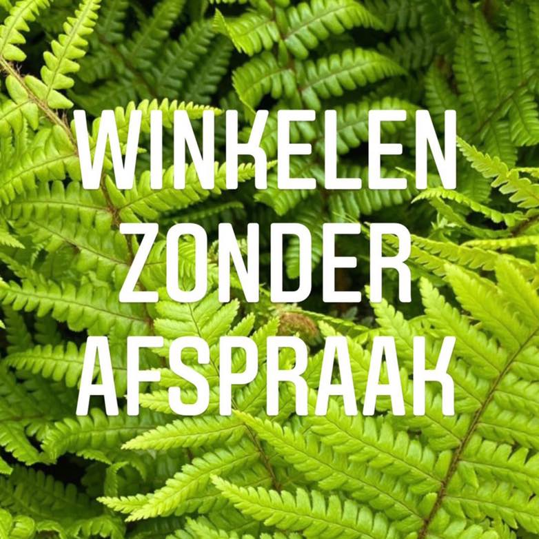 GroenRijk Rijswijk ('t Haantje) - GOED NIEUWS | Vanaf zaterdag 15 ...