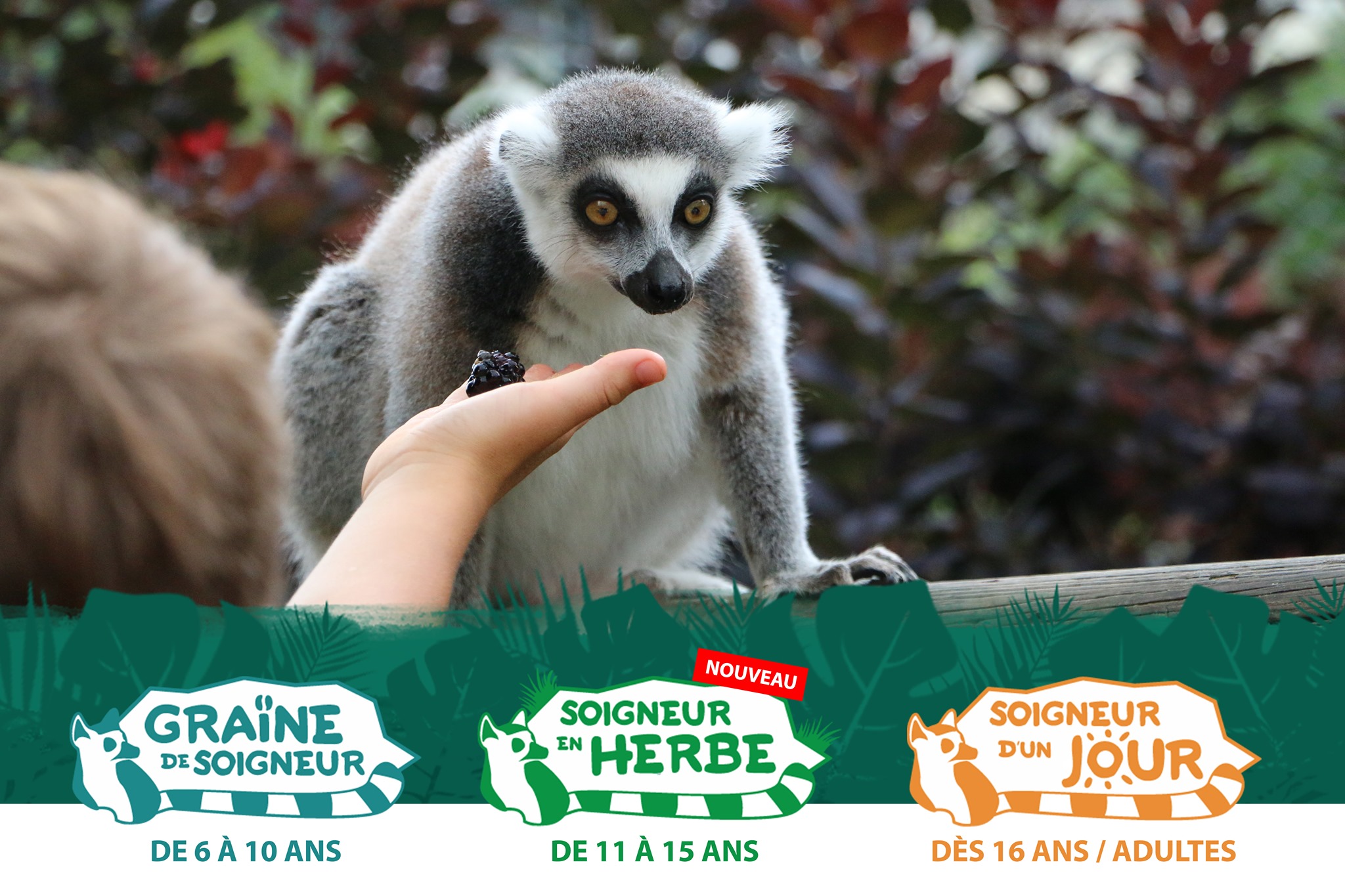 Soigneur D Un Jour St Martin La Plaine