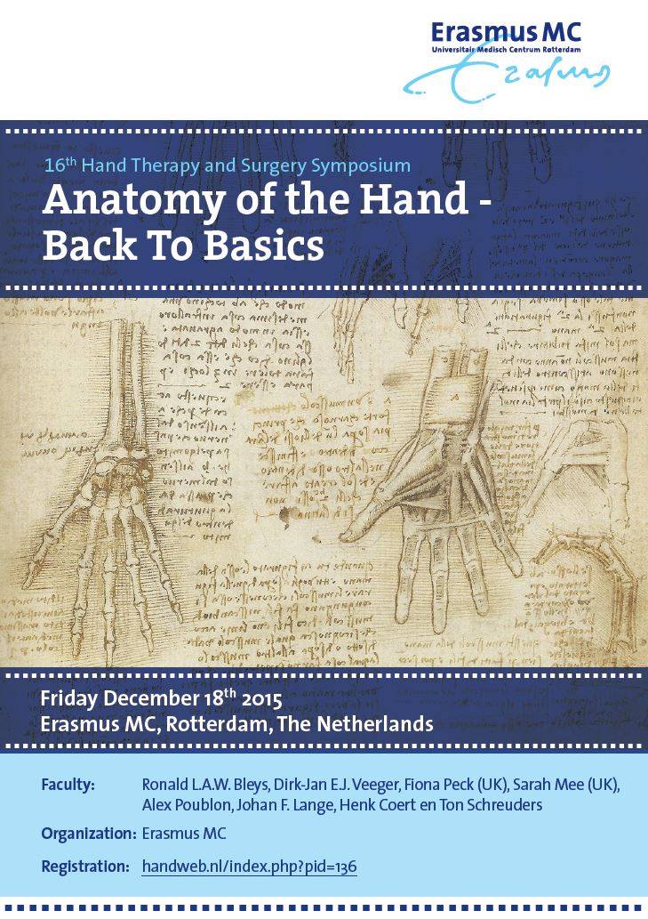 Handweb - Anatomy of the Hand- back to basics 16th Hand... | Facebook
