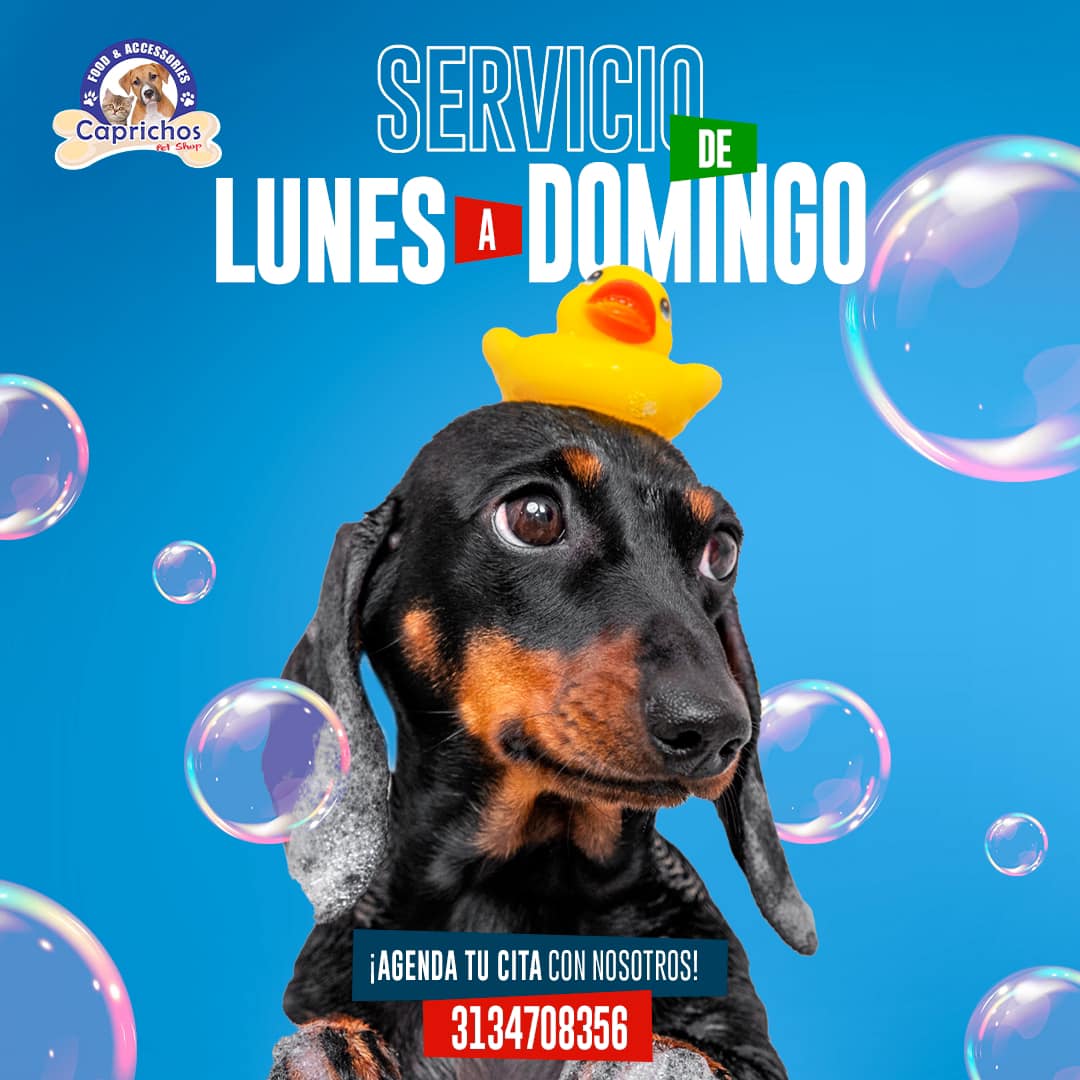 Caprichos Pet Shop | Fusagasuga