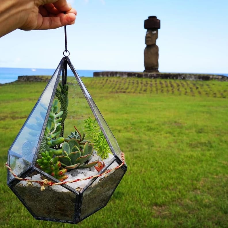 DEVASER EN RAPA NUI🗿 ️🙏. . Desde este... - Terrarios Devaser