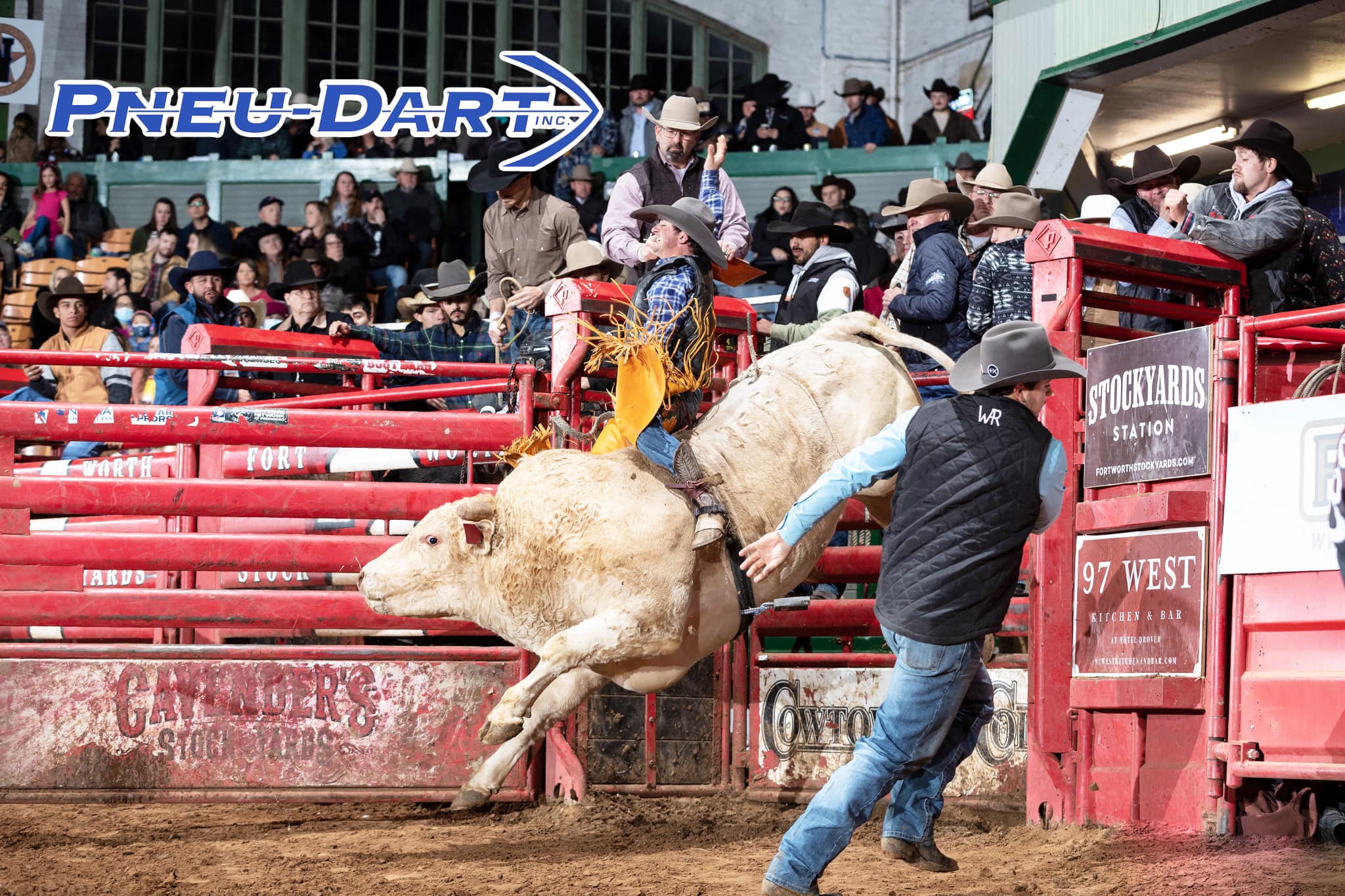 35F Cool Whip (Tommy... - American Bucking Bull Inc. | Facebook