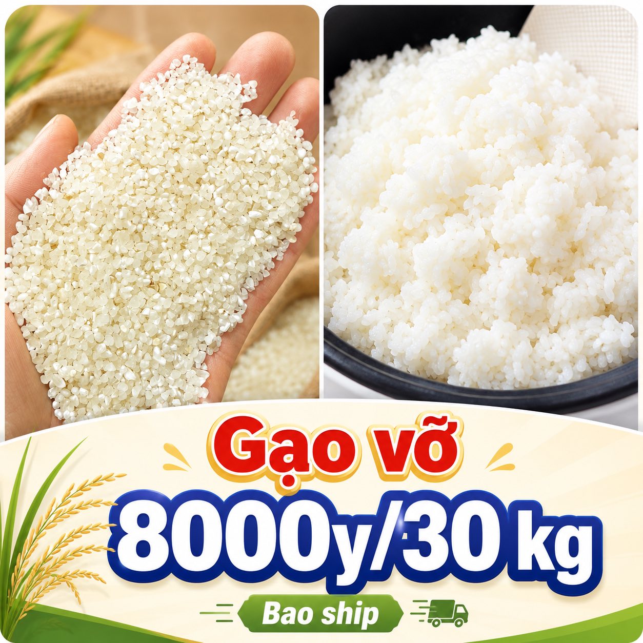 ✓ Gạo ngon – giá rẻ
