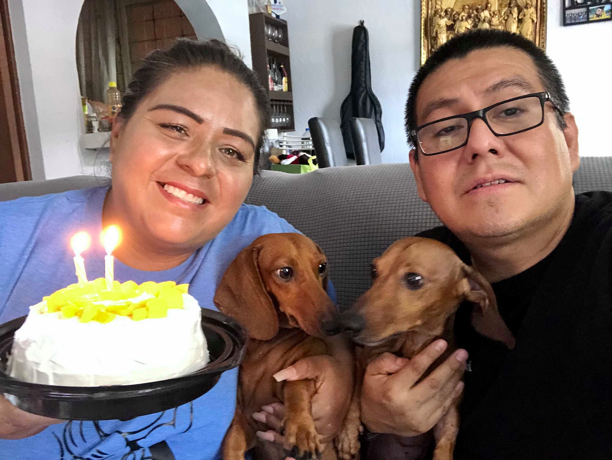 Siguiendo - 🐾¡ESTAMOS BUSCANDO A TIM!⚠️ 📍Se extravió sobre Eje 6 entre ...