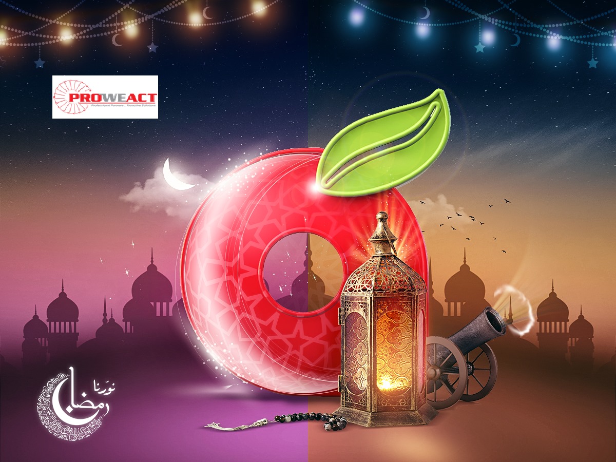 Proweact | Cairo