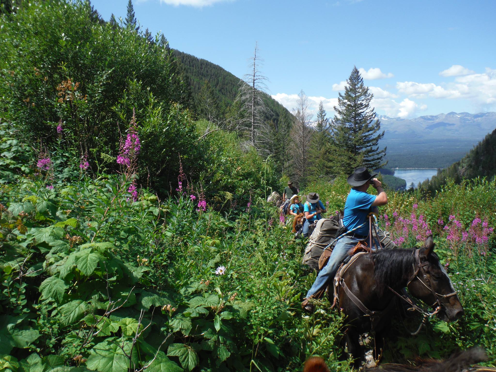 Cache Peak... - Cache Peak Back Country Horsemen of Idaho