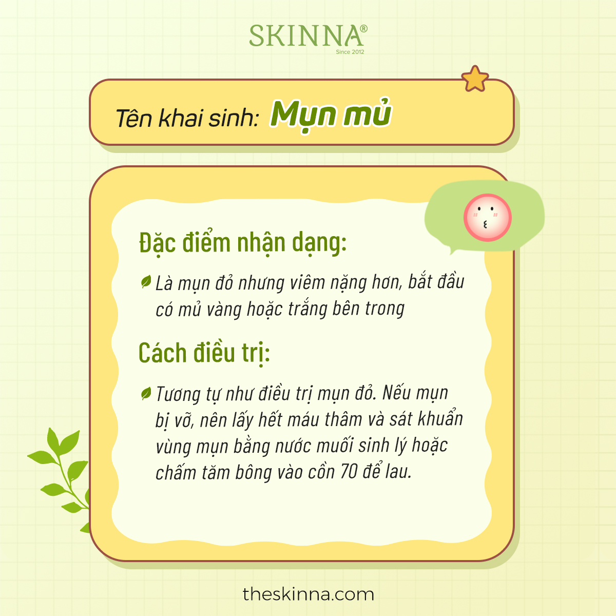 Skinna - Organic... - Skinna - Organic and Natural Skincare