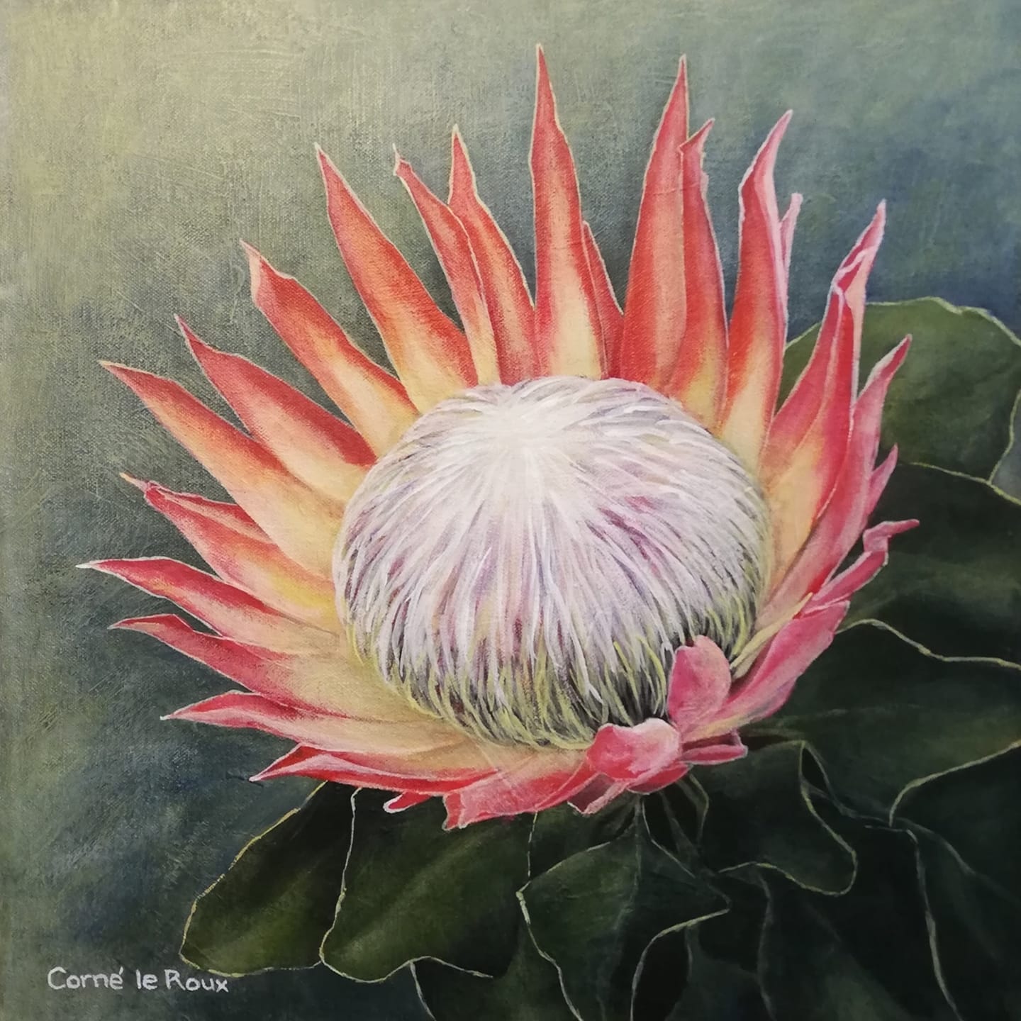 Corné le Roux Art