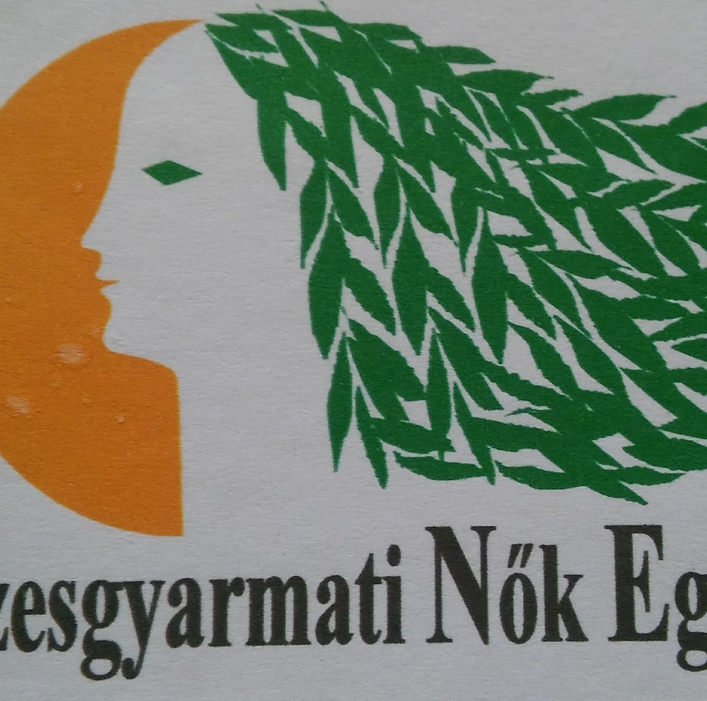 Füzesgyarmati Nők... - Füzesgyarmati Nők Egyesülete