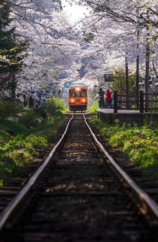 Japanese train station vocabulary