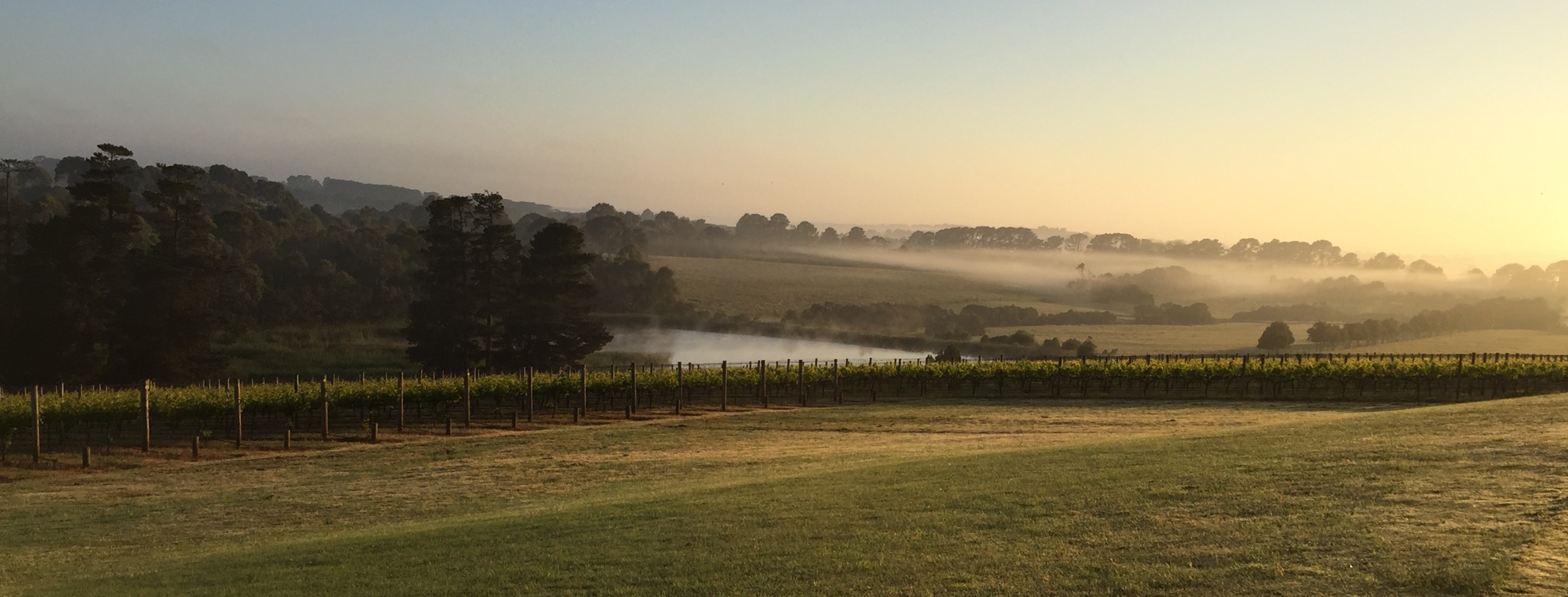 Paradigm Hill | Merricks VIC