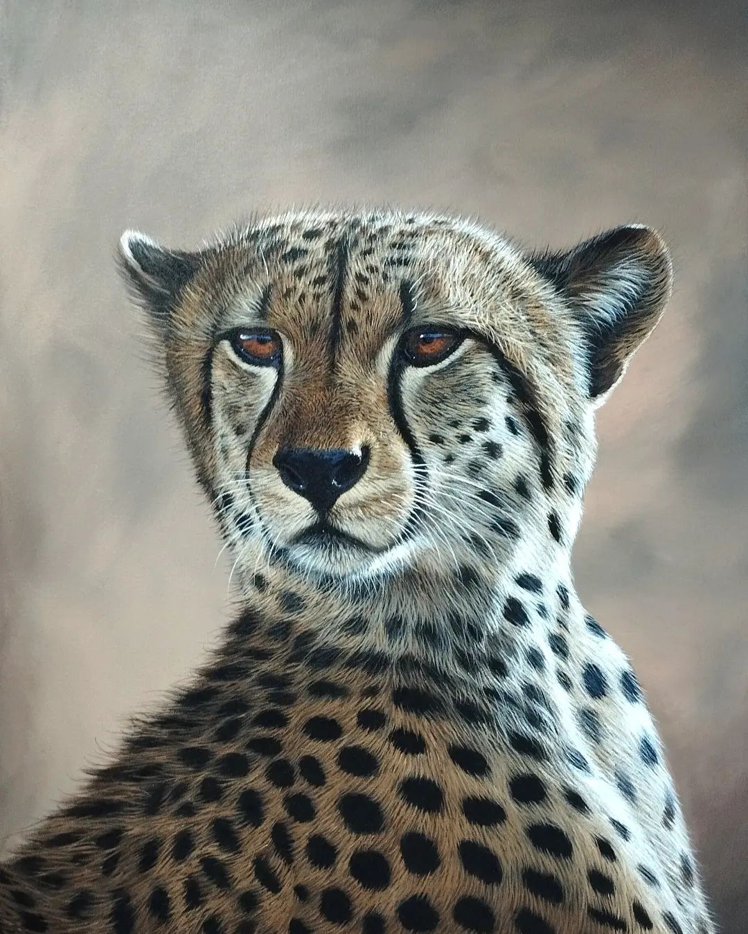 Cheetah chasing gazelle in savannah oil painting