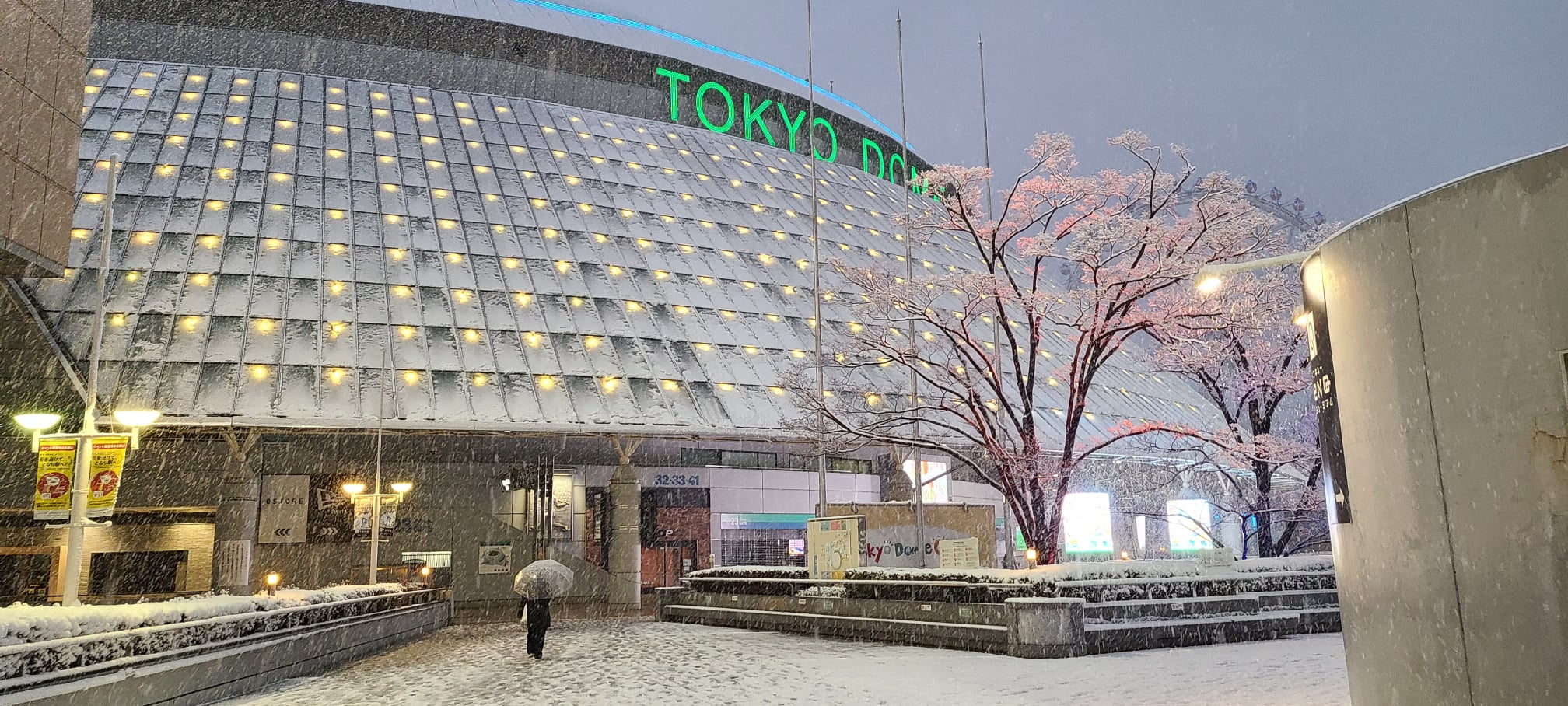 東京 ドーム 今日