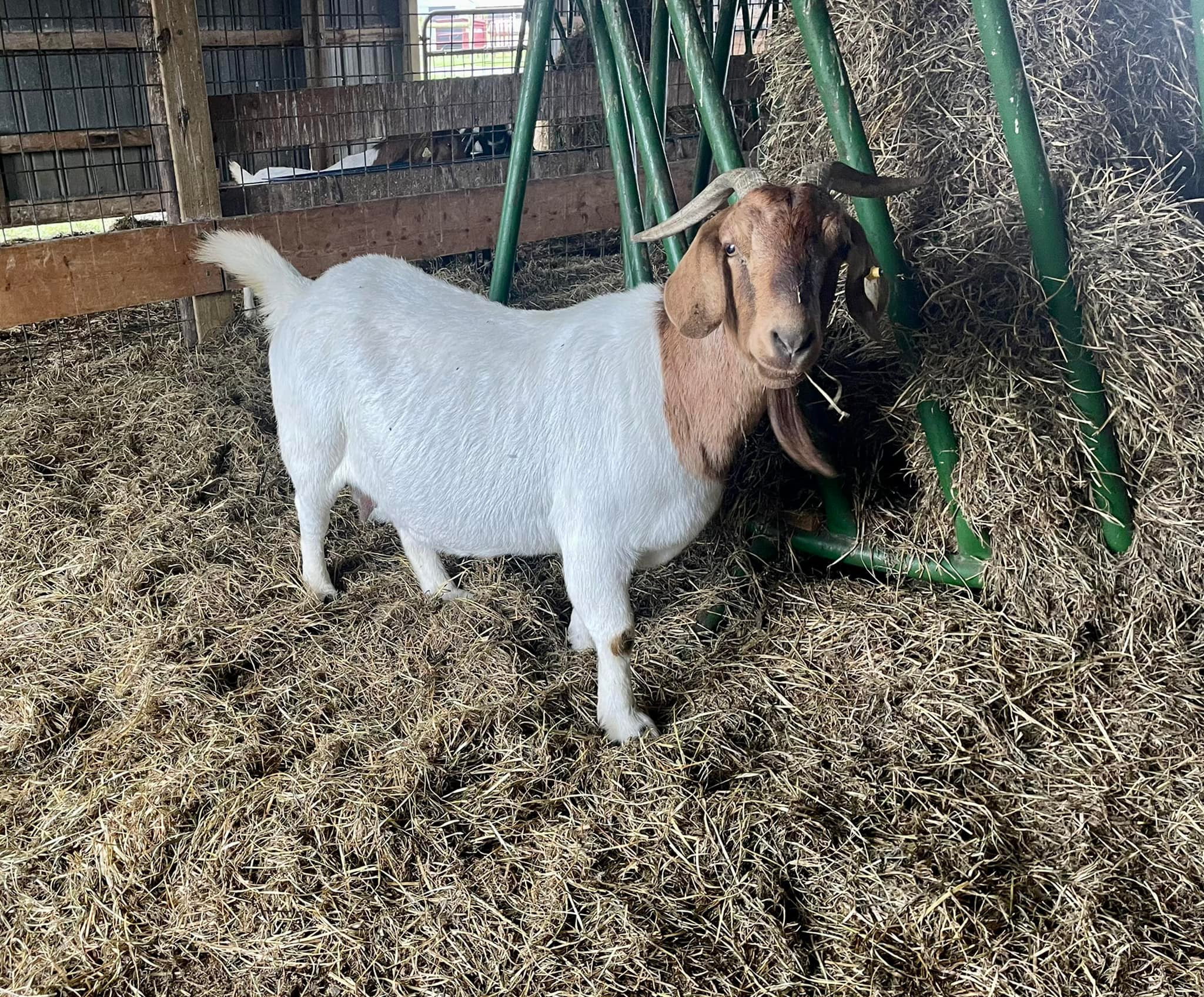 Wheat-Ridge Farm, Inc. | Galestown MD