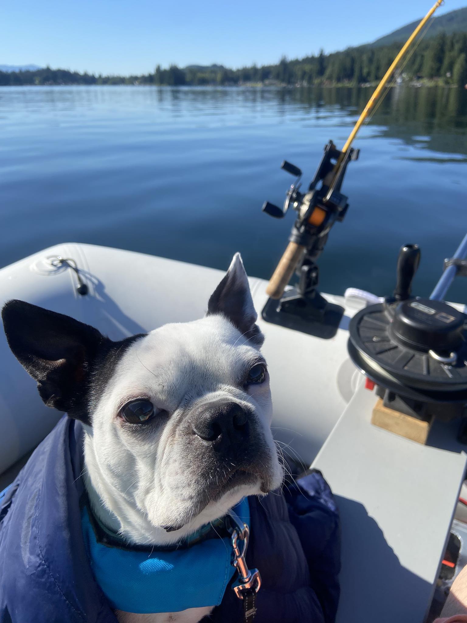 bulldog fishing pole Infantry Rod Designed for smooth casting and easy handling Kokanee fishing on Lake Samish