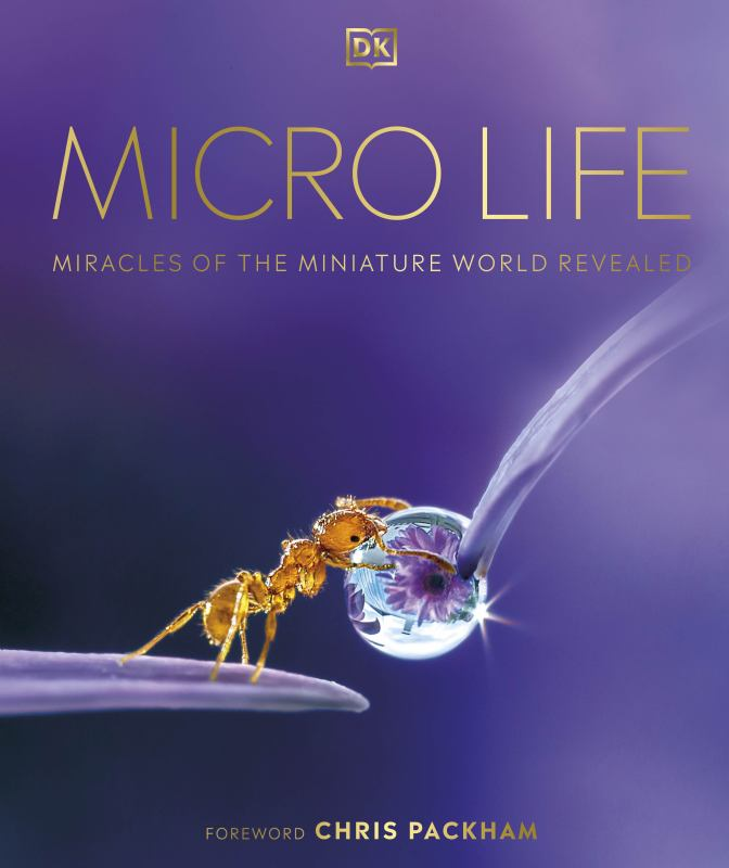 The Hidden Beauty of the Microscopic World