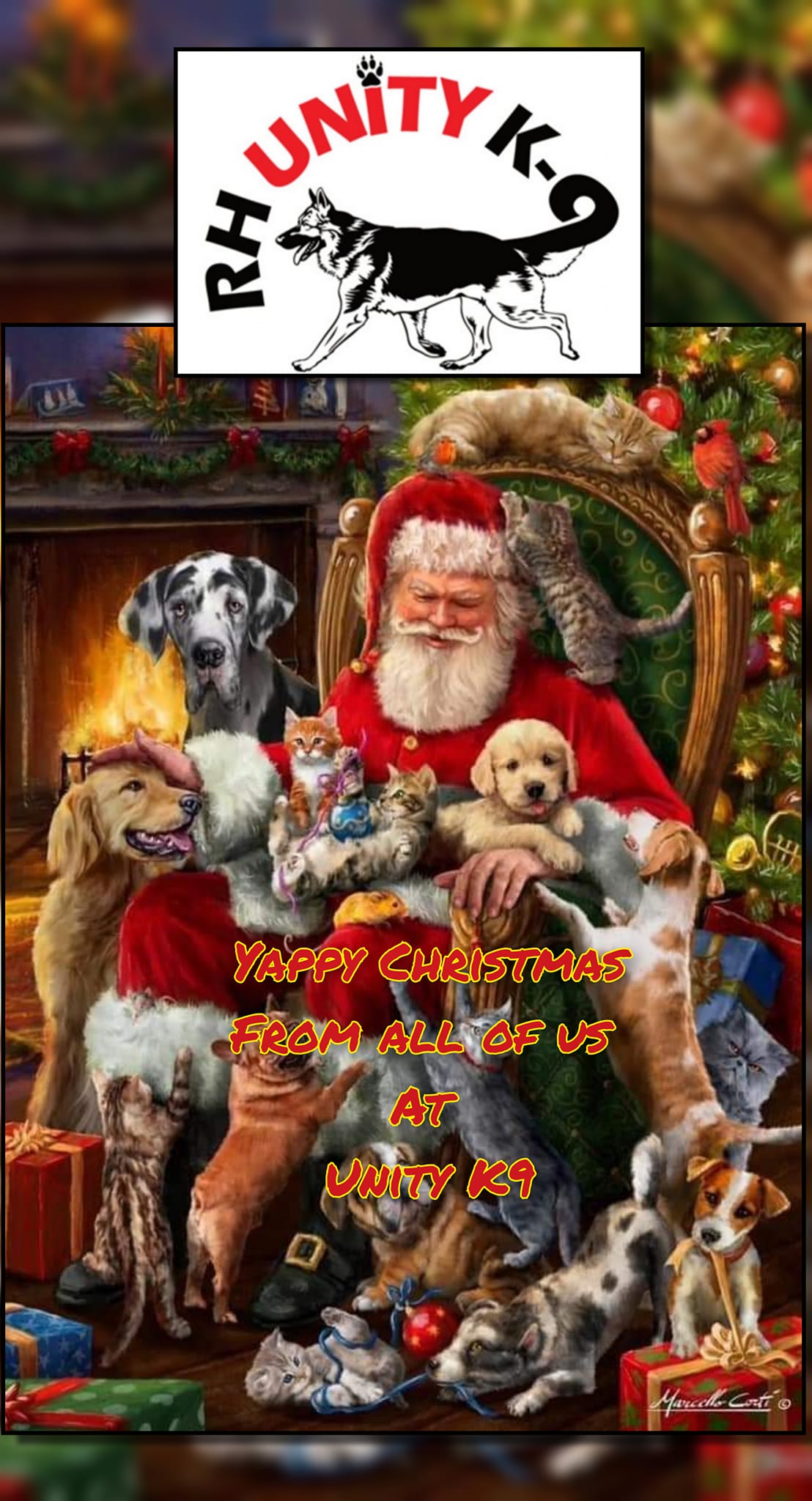 RH - Merry Christmas form the RH UNITY K9 team. Hope santa paws brought ...