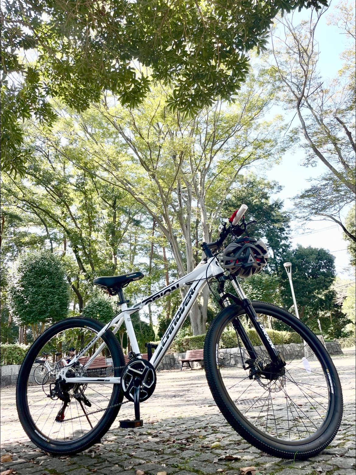 A mamachari is a bicycle that balances utility and comfort