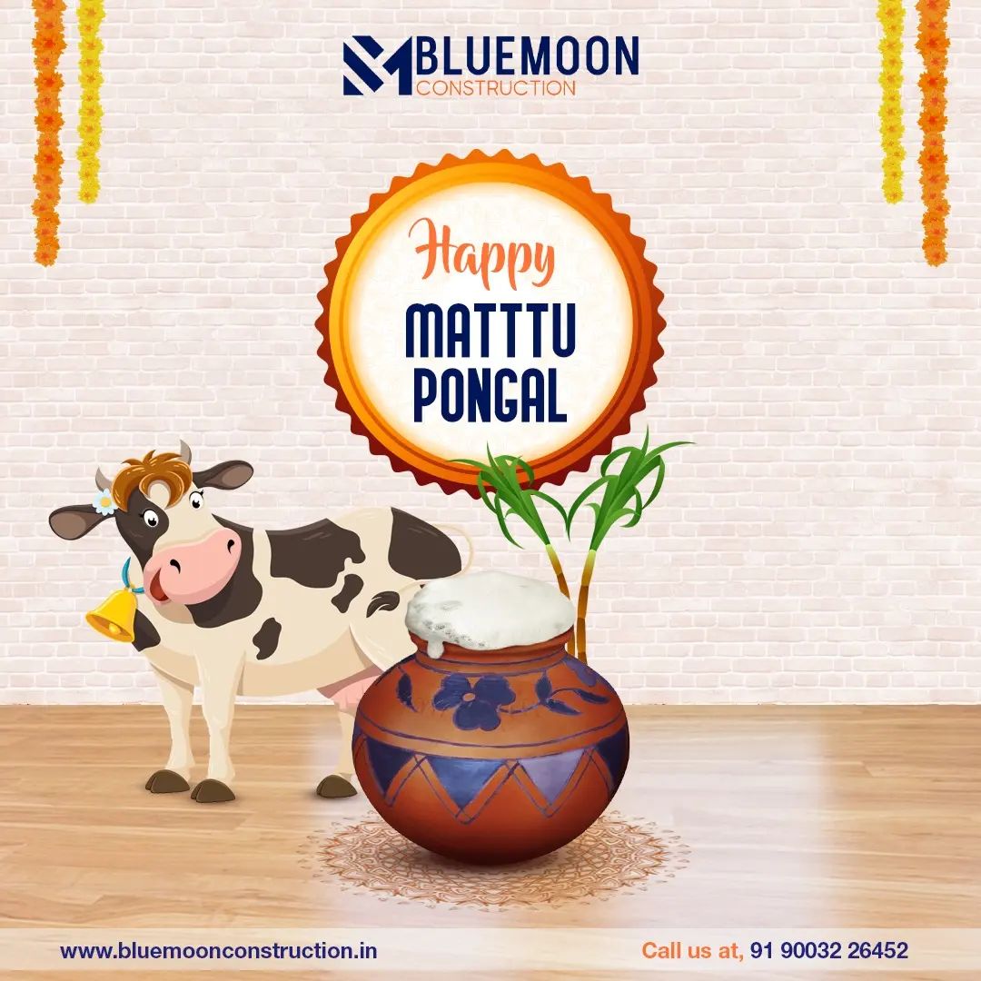 Happy Maatu Pongal🎊 #pongal... - Bluemoon Construction | Facebook
