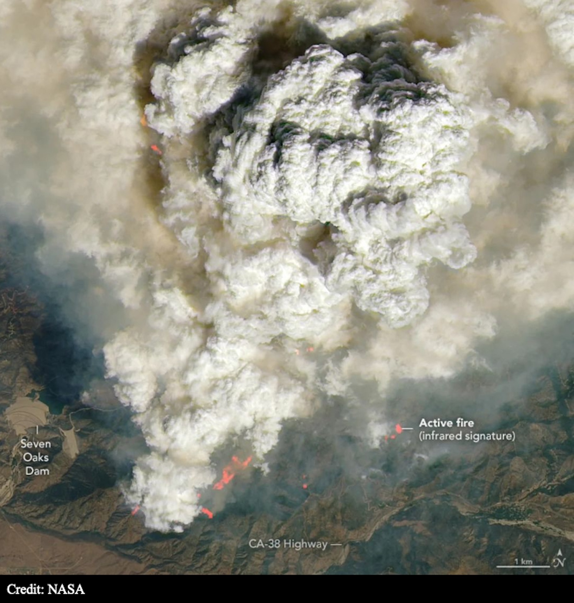 The Global - 🔥 California's Line Fire Creates Pyrocumulus Clouds ...