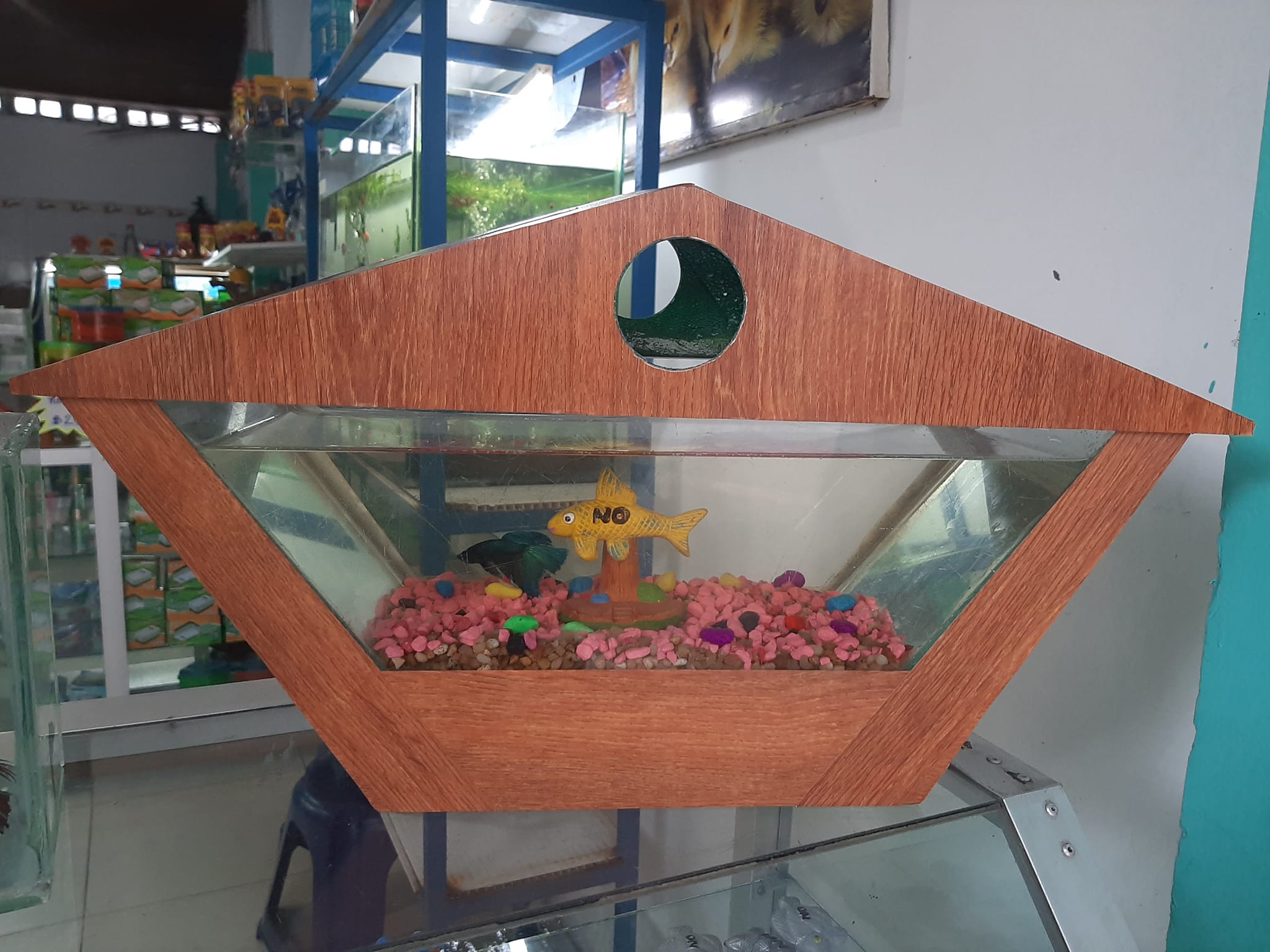 Sabias que...... - El ARCA FISH - Tienda Piscícola & Avícola. | Facebook